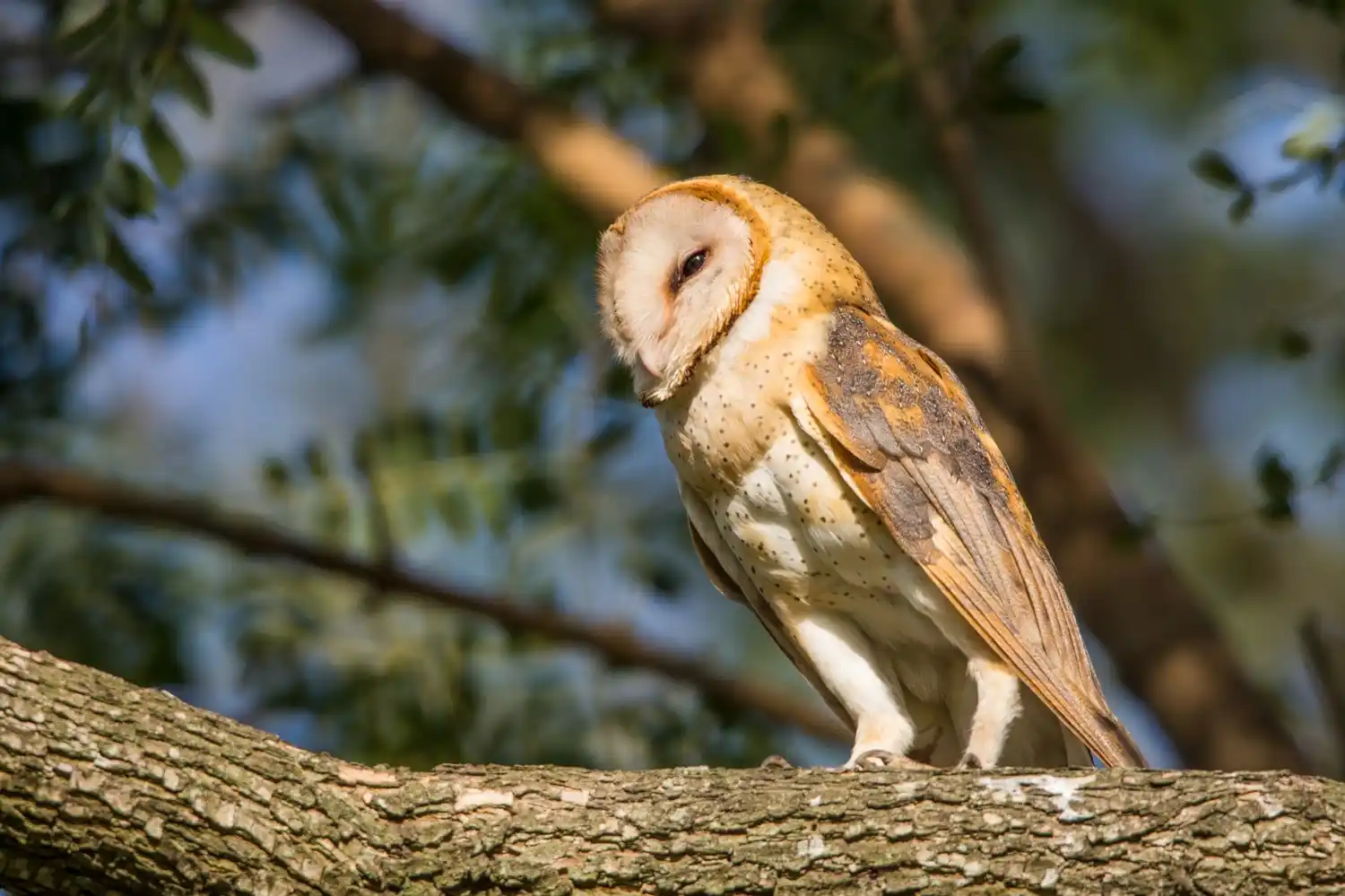 Guillermo Vidal - Fotógrafo - Disertará en una charla sobre fotografía de naturaleza "Belleza oculta de nuestra región " - 5