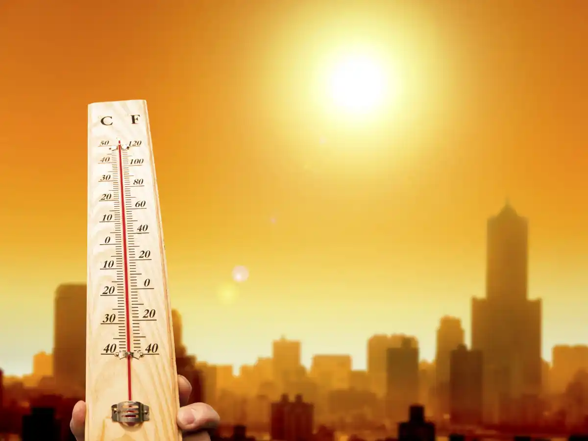 ¿Hasta cuándo el calorcito?: pronostican el ingreso de una ola polar