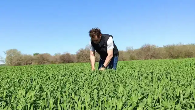 Justo García: “El boom ganadero tiene cuerda para rato, pero en Argentina nada es lineal”