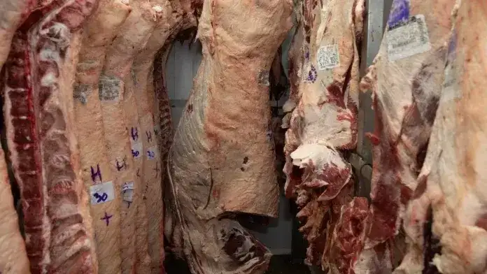 Hay más oferta de ganado en Entre Ríos, pero las familias siguen sin poder comprar carne