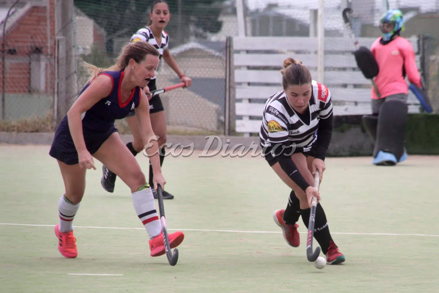 Archivo