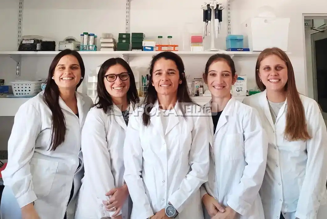 Científicas de Gualeguaychú investigan la relación entre el mate y los riesgos de contraer Parkinson