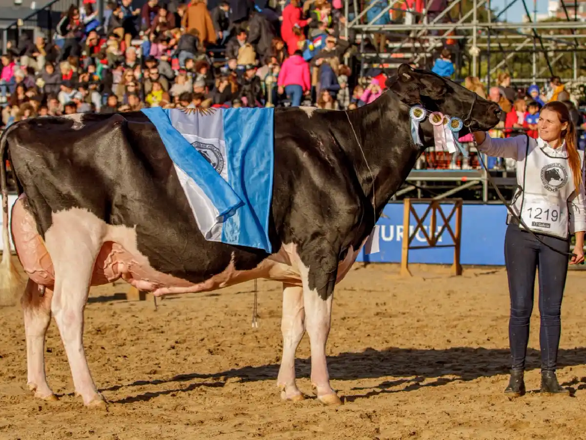 Los  grandes campeones Holando en Palermo son de Aldao