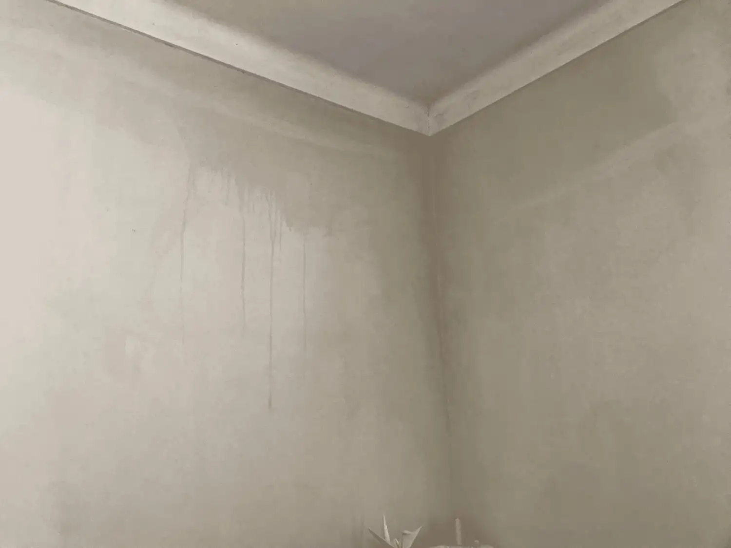 vinagre pared - 3
