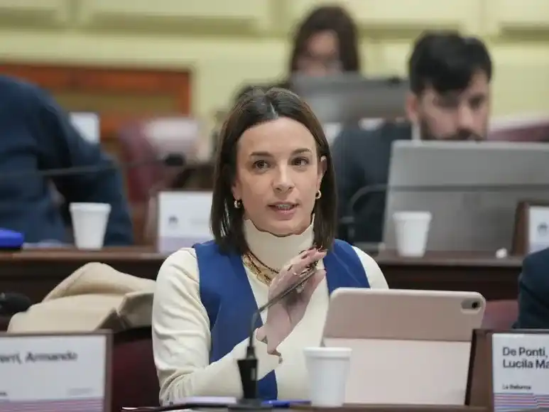 reforma constitución - 1