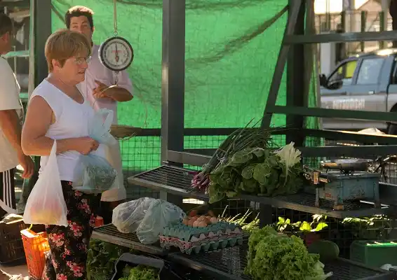 “La discusión no tendría que pasar solo por el Glifosato, sino por lo que estamos comiendo”