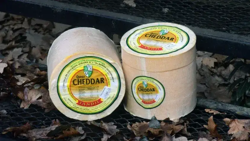 Cheddar Granja - 1