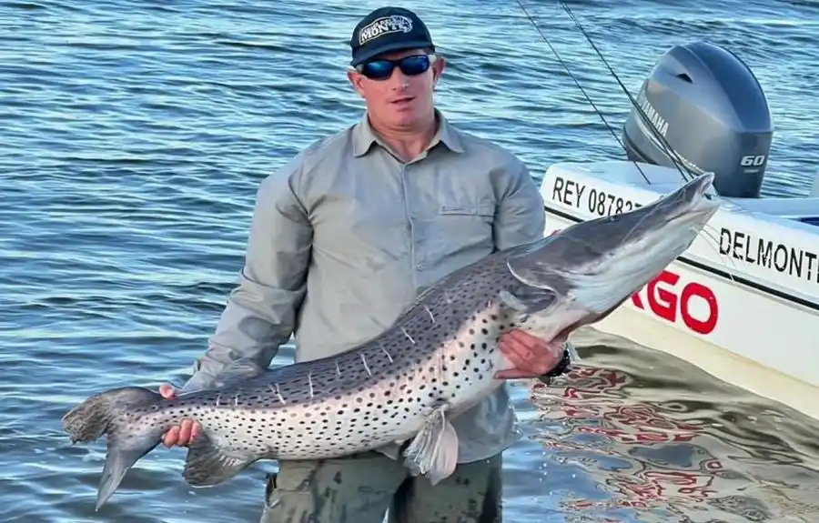 Agosto llegó con mucho pique