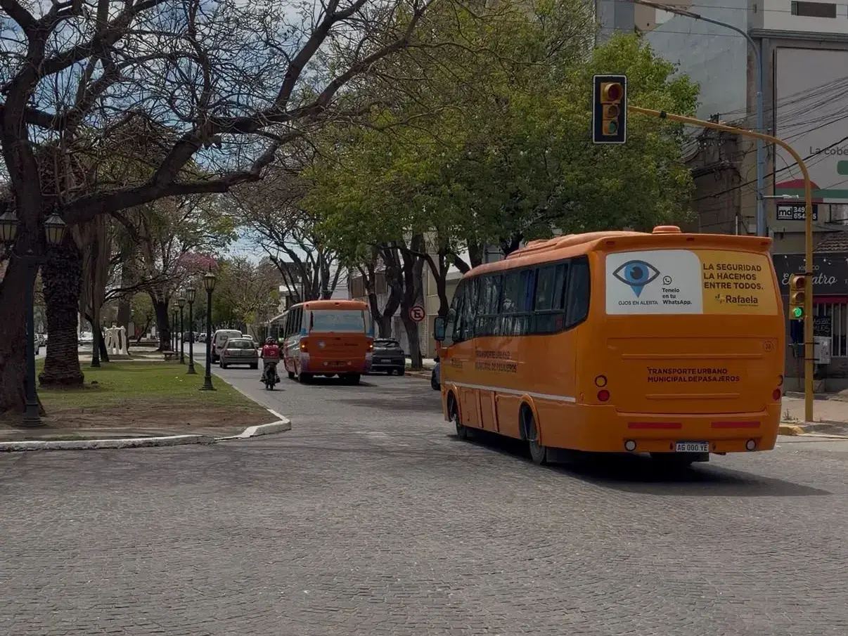 Transporte Público