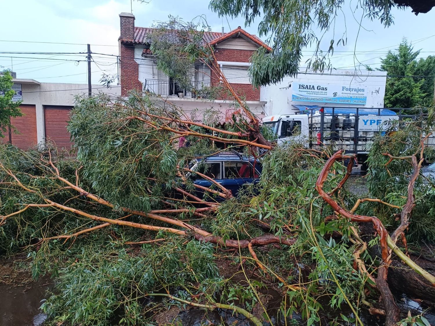 Miramar. Tormenta causó destrozos en minutos