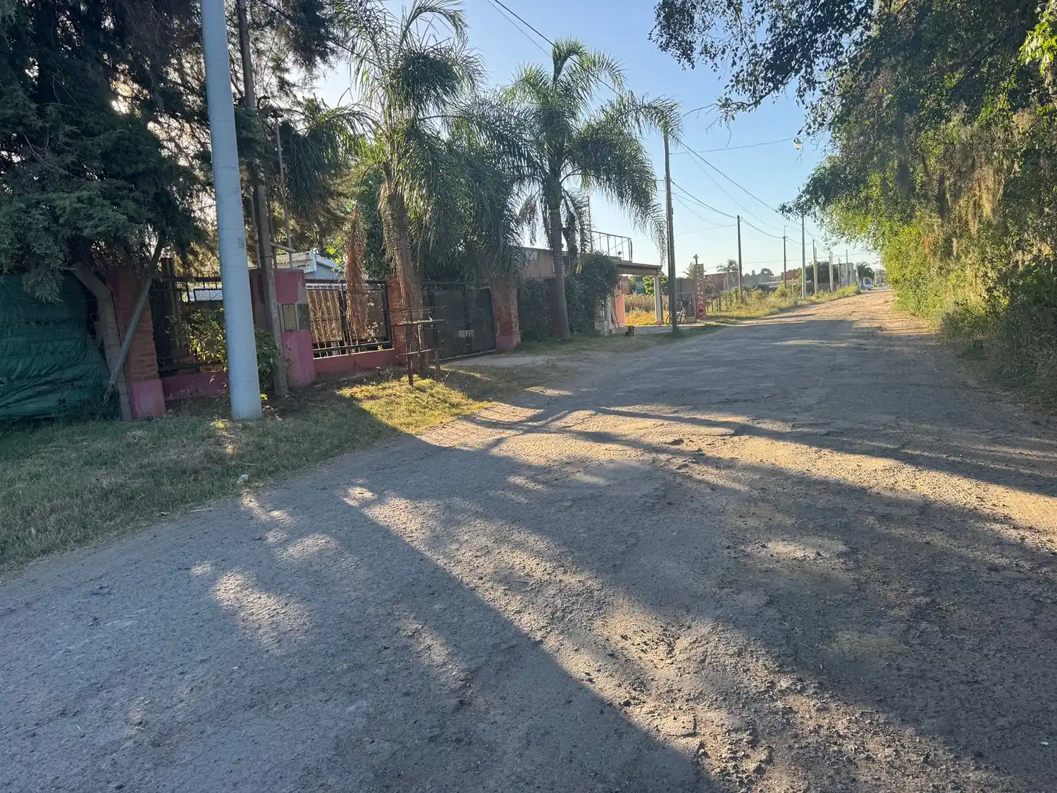 calle rojas pavimentación