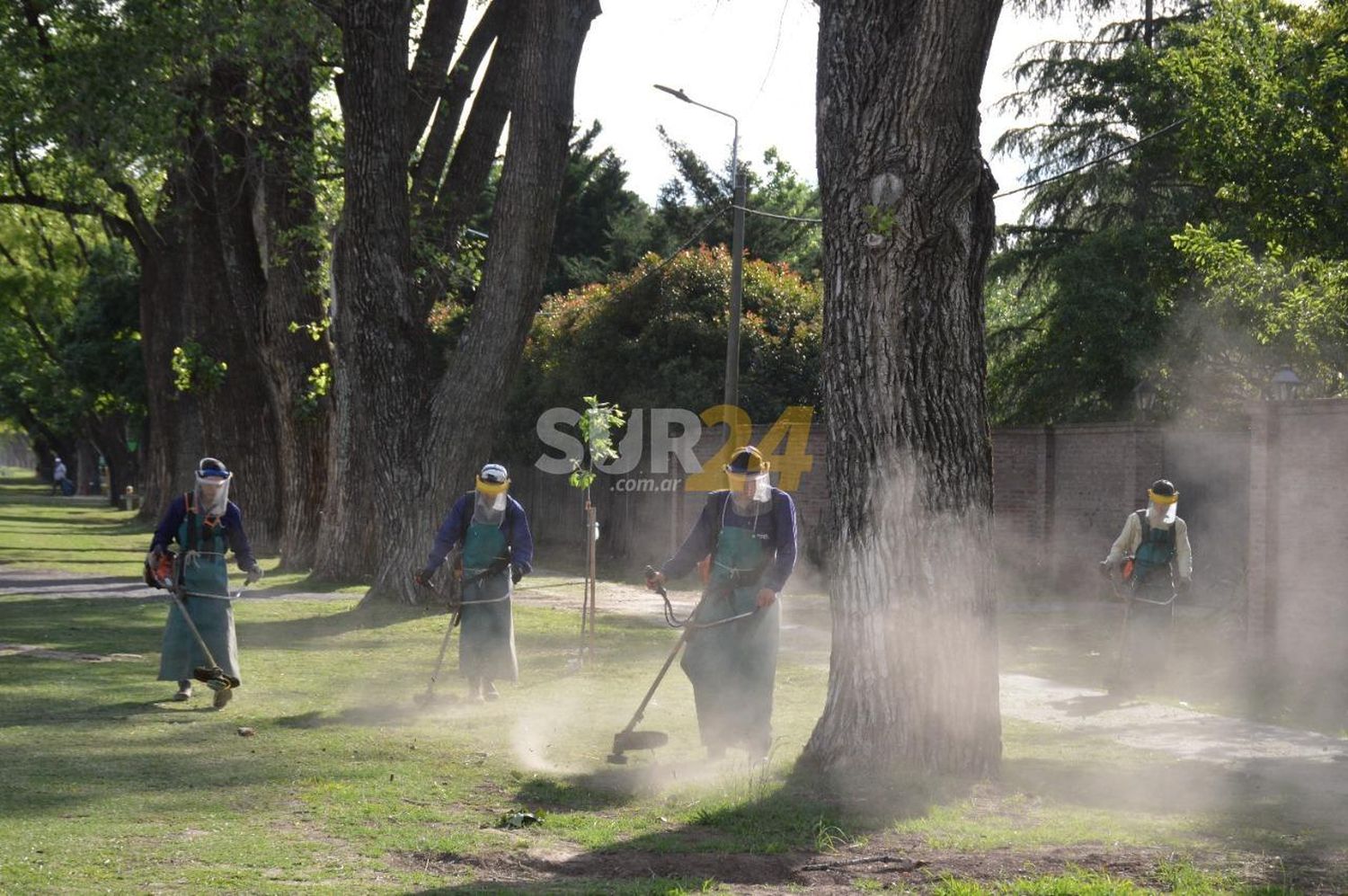 El municipio optimiza el servicio de poda y desmalezado 