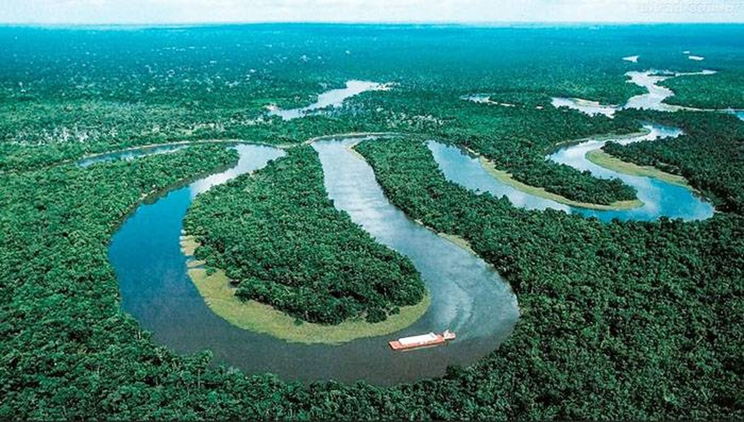 Hubo deforestación récord en el Amazonas durante el  último año de gobierno de Bolsonaro