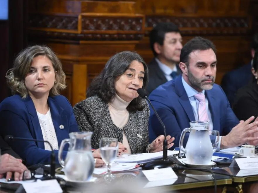 Con dos dictámenes en la Cámara alta avanzó la emergencia sanitaria en el Garrahan