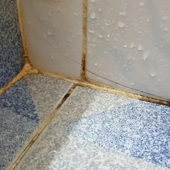 Ni lavandina ni detergente: cómo eliminar el jabón pegado y el sarro de los azulejos del baño en minutos