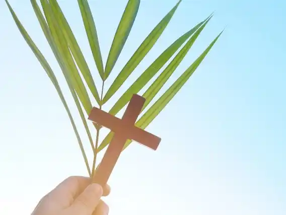 Parroquia Nuestra Señora de Lourdes