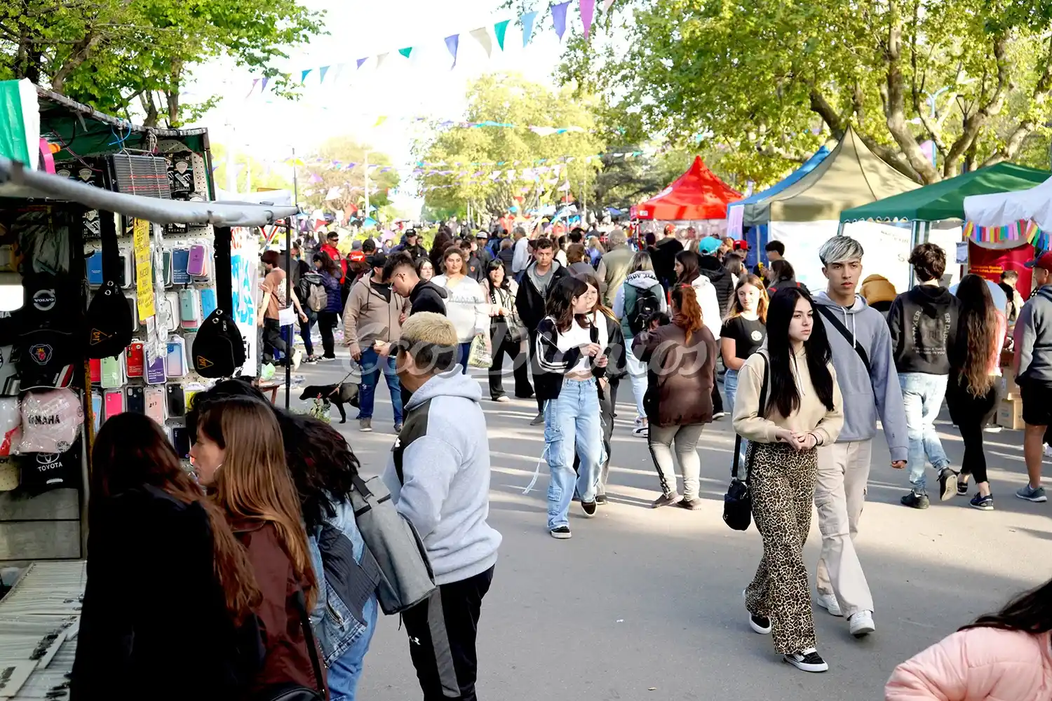 Muchas familias. Recorrieron el paseo de la Plaza