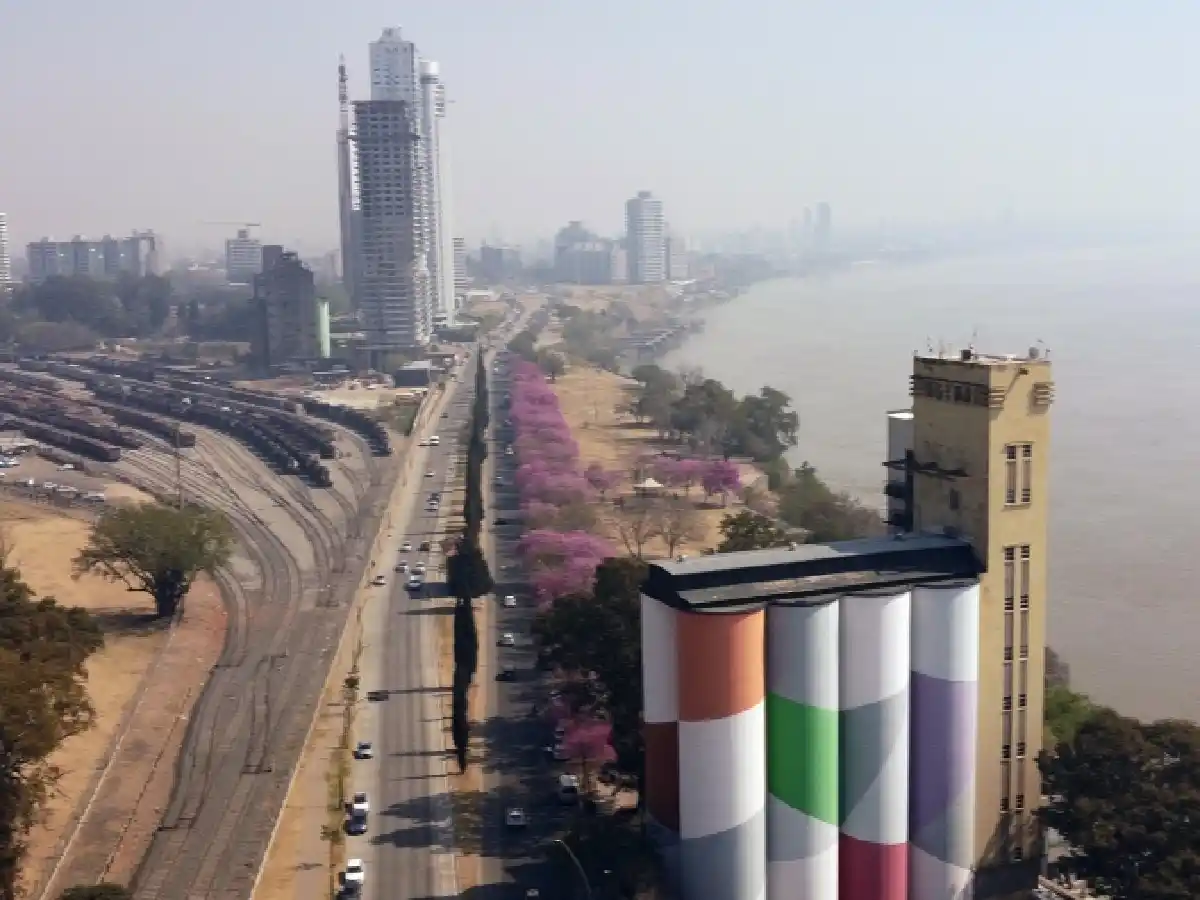 Incendio Forestales en el Delta: Ambiente presentó una cautelar para aplicar sanciones previstas en la ley de Manejo del Fuego