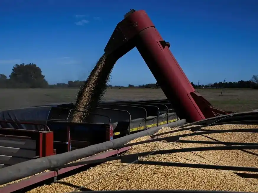 Pullaro sostuvo que las retenciones deben eliminarse "por convicción y no por necesidad".