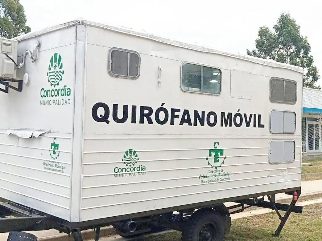 El programa de esterilizaciones barriales gratuitas atenderá en el barrio Parque Río Uruguay