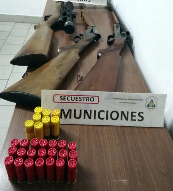 Allanan una vivienda y secuestran armas largas