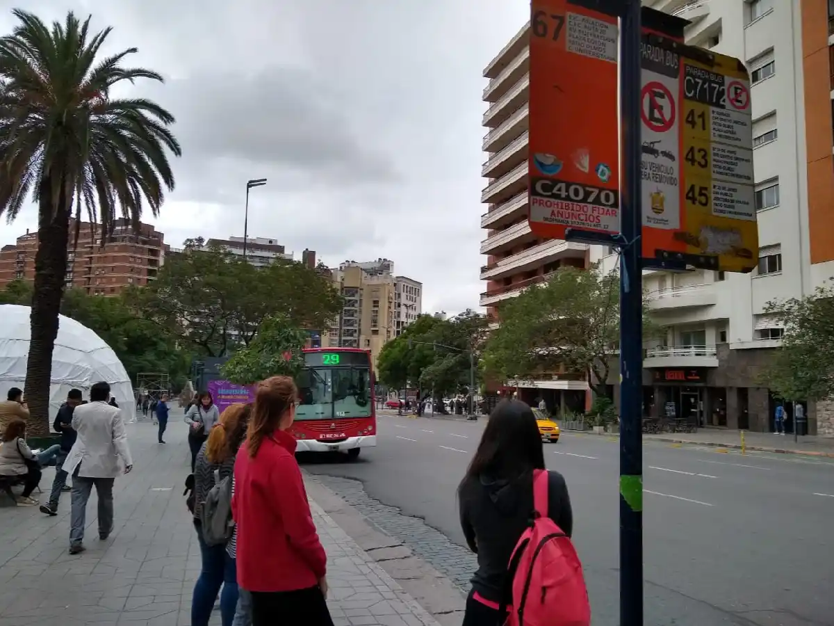 Proponen asegurar la igualdad de género en la conducción del transporte