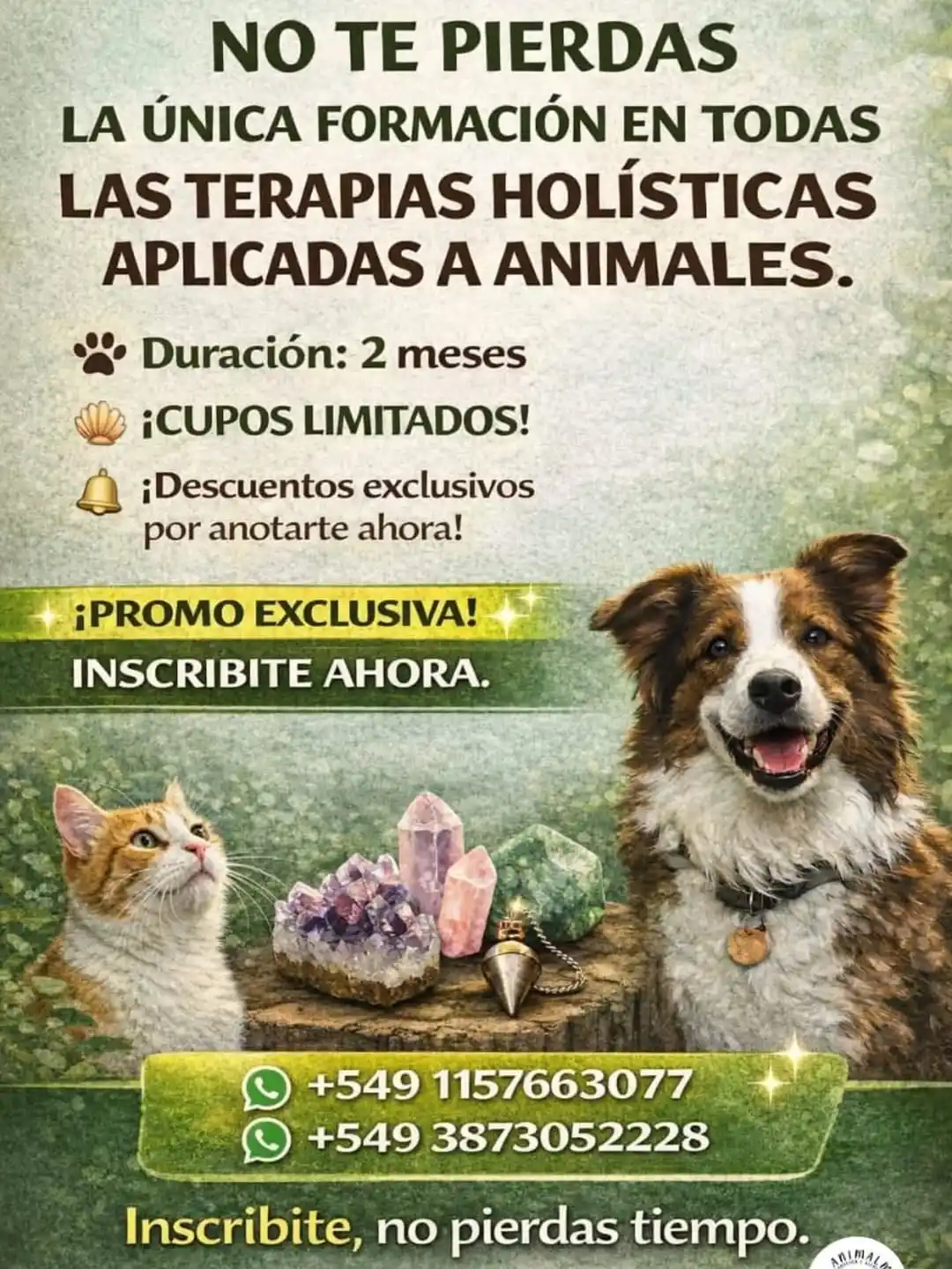 Conocemos la organización "Animalma", para la protección de los animales mediante la comunicación