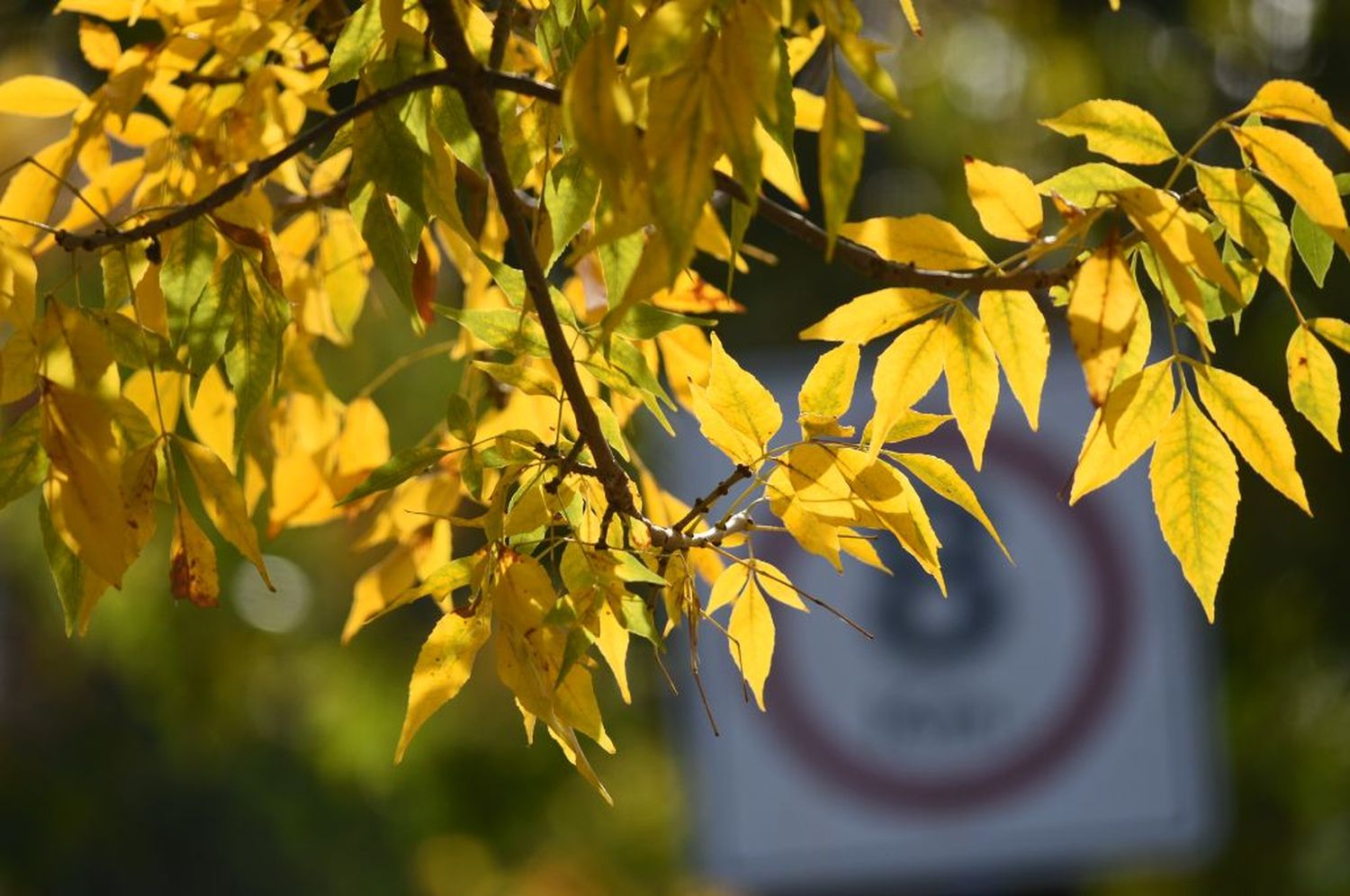 Otoño