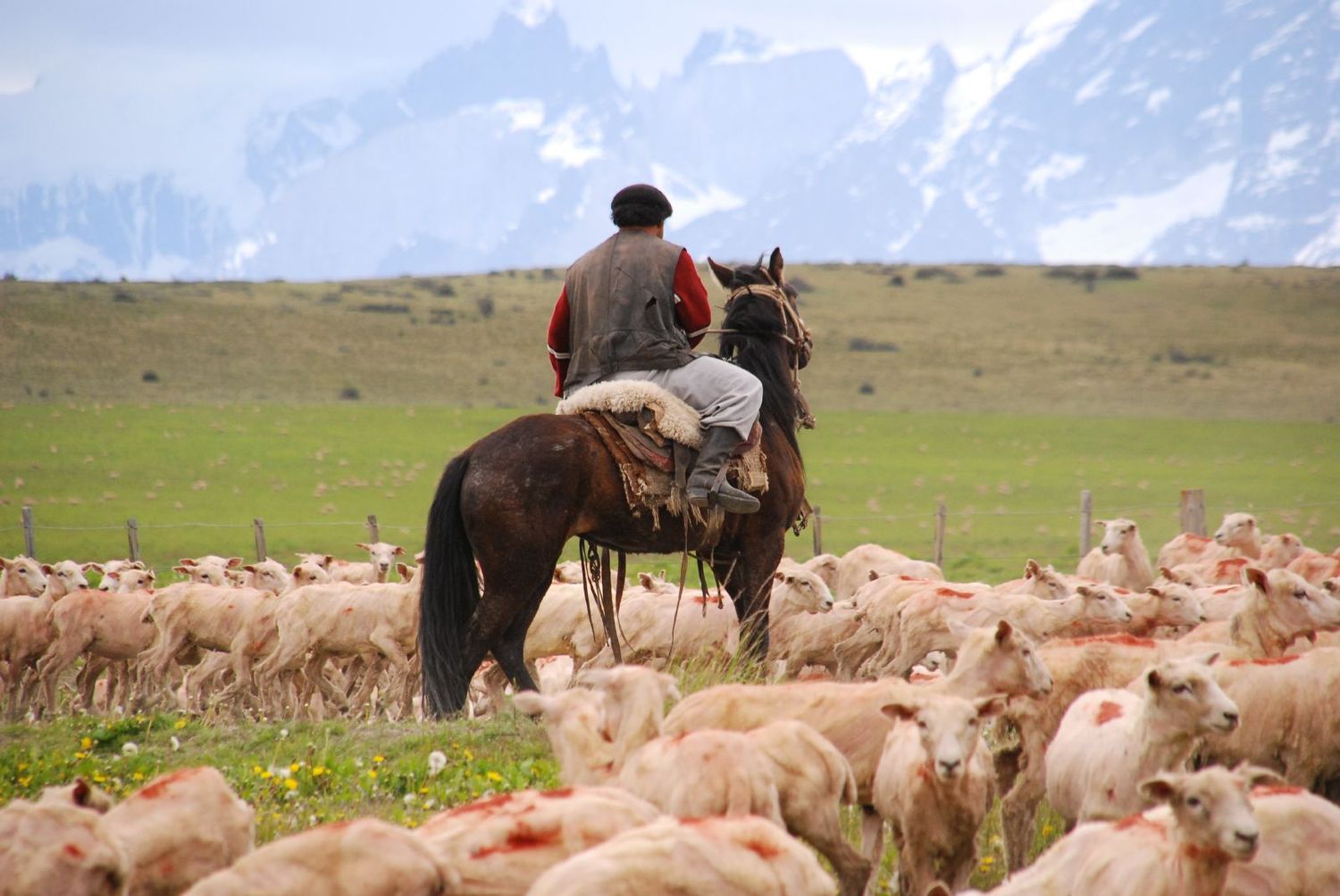 Profundizan la lucha contra el trabajo rural no registrado