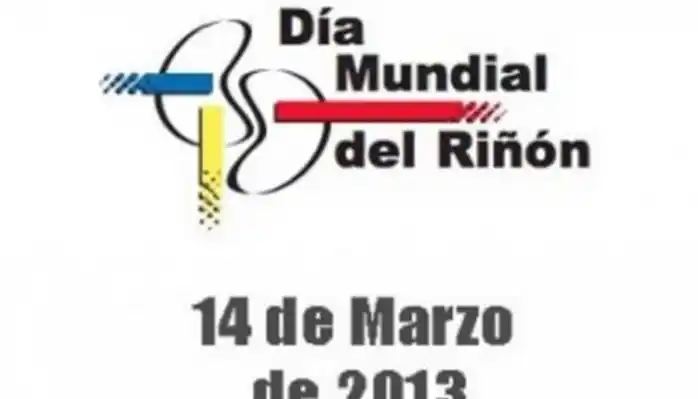 Día Mundial del Riñón: el peligro de tomar poca agua o automedicarse