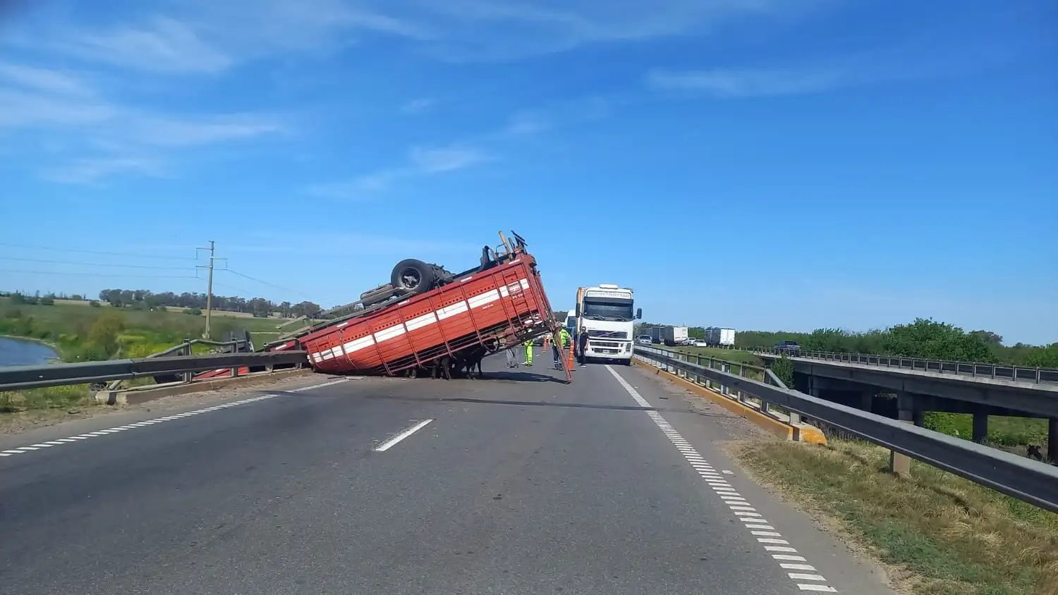 vuelco ruta 9 camión jaula