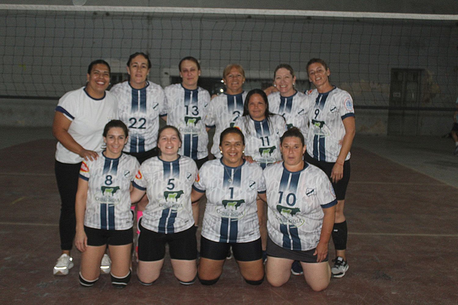 Voley 6