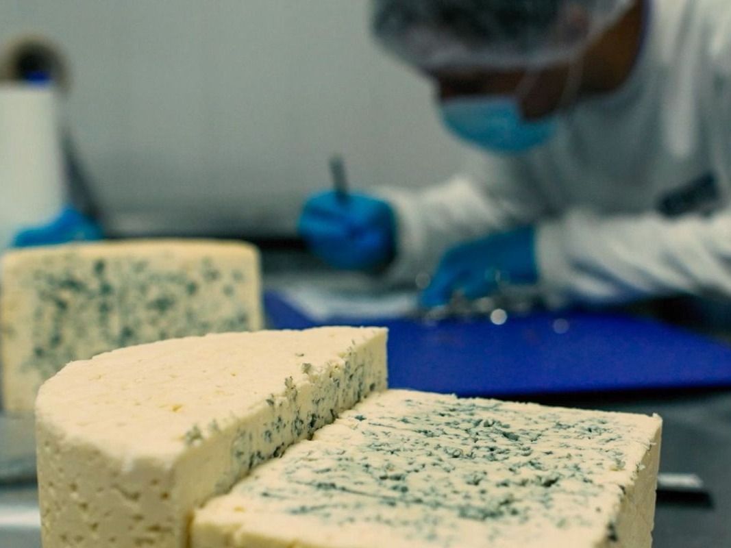 TodoLáctea 2025 será una gran vidriera para mostrar el potencial de lo que se hace en Santa Fe.