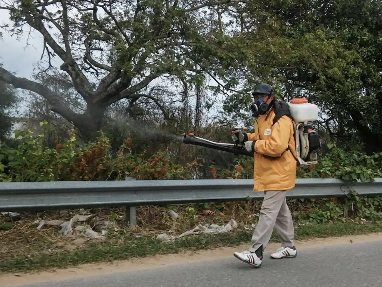 Cronograma de fumigaciones para esta semana