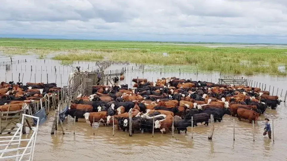 Crecen peligrosamente las posibilidades de atravesar en breve un ciclo de grandes cambios climáticos