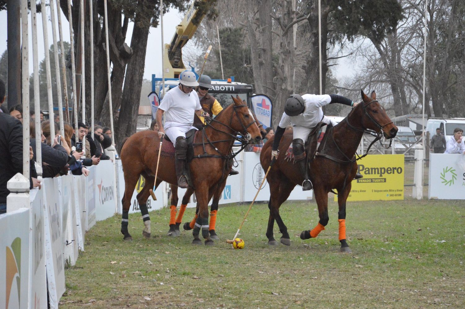 Polo ExpoVenado - 3