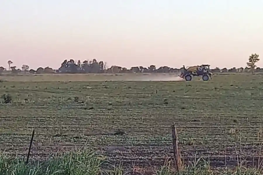 Comenzó la siembra de soja con una proyección récord en el centro norte santafesino