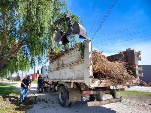 Durante los primeros dos meses del año retiraron más de 8000 toneladas de residuos en microbasurales