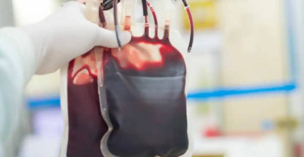 UNA ALTERNATIVA: científicos crean sangre artificial compatible con todos los tipos