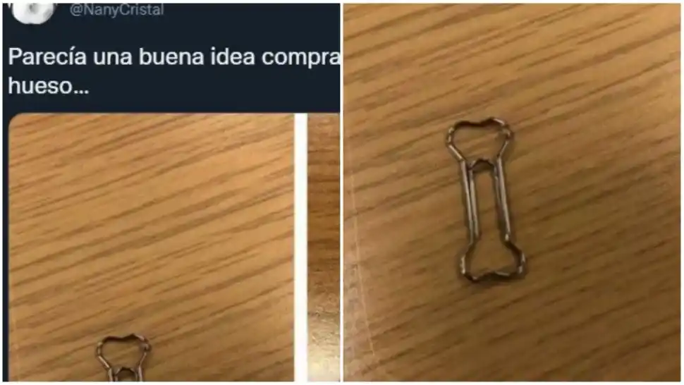 Compró los clips con forma de hueso que tanto quería, pero se transformaron en un "pequeño problema"