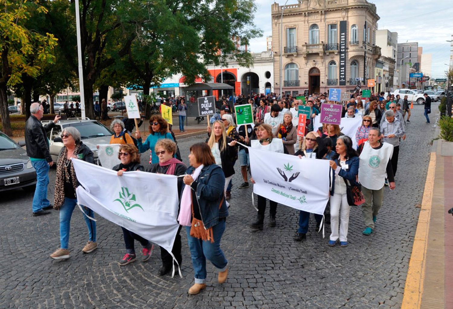 De la calle a las redes sociales,  el mundo entero se adaptó  ayer para pedir por la  legalización del cannabis