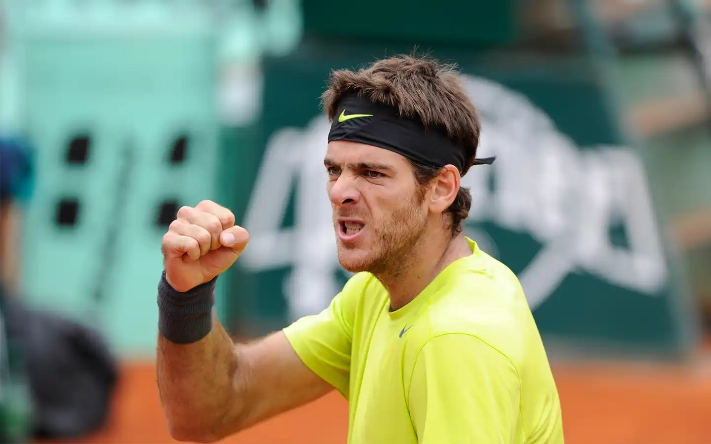 Del Potro jugará en Roland Garros