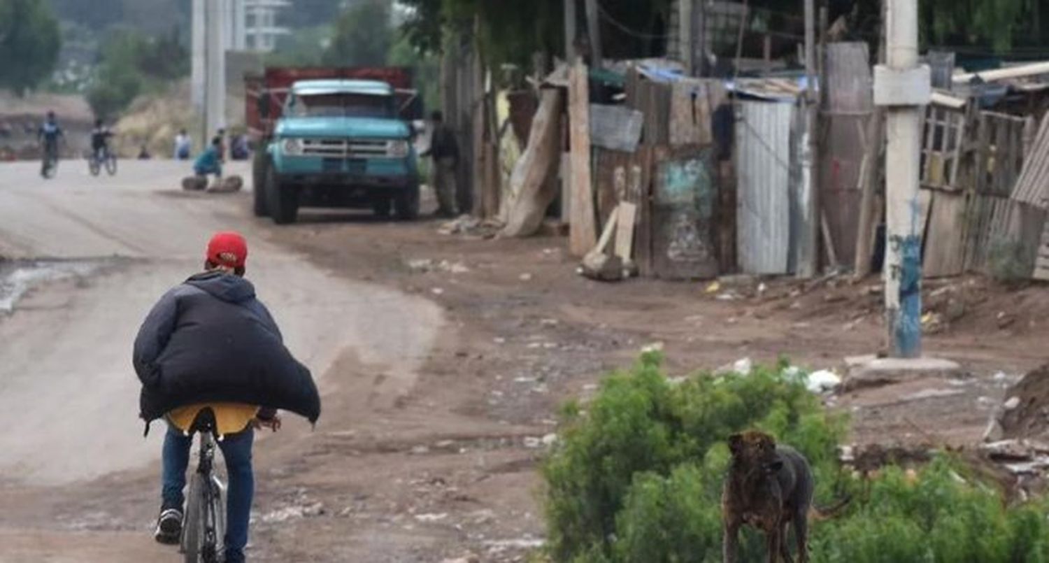 Mendoza: un mujer murió aplastada por un árbol