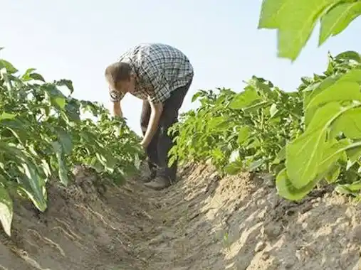 Las Buenas Prácticas Agropecuarias como eje de una jornada en Villaguay