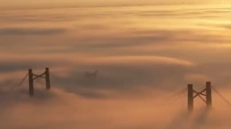 El Puente Zárate - Brazo Largo desaparecido bajo la niebla: hay alerta violeta