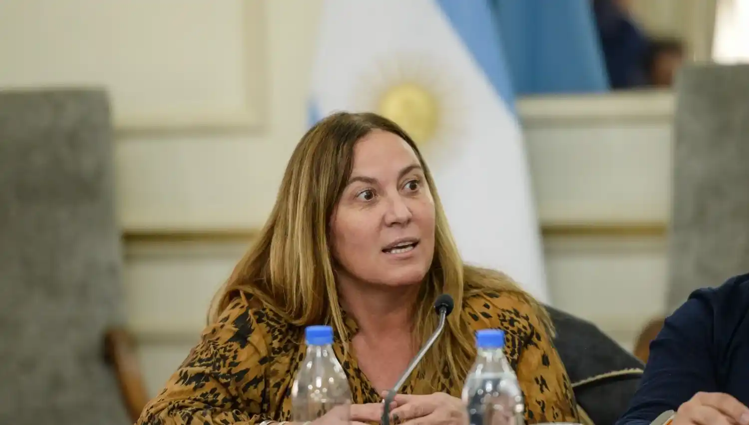 Valeria Arata presentó un proyecto de repudio al recorte del Programa Remediar.