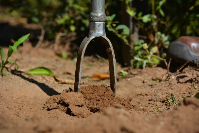 El 2% de la reserva mundial de carbono está almacenado en los suelos argentinos