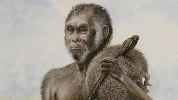 Logran secuenciar un cromosoma del hombre de Neandertal