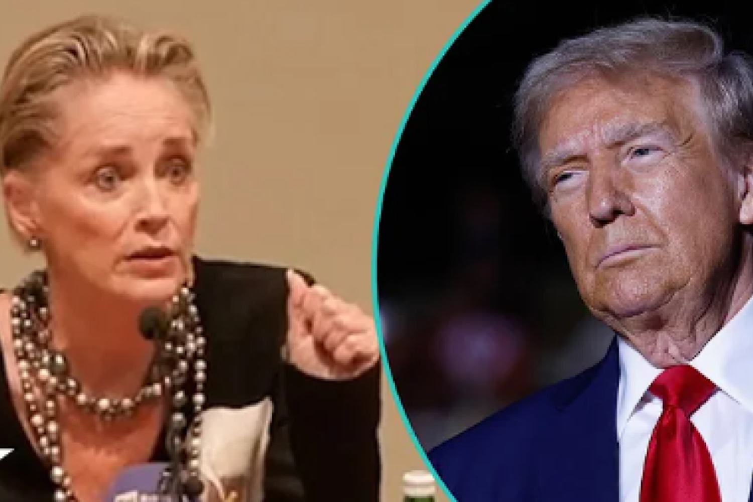 Sharon Stone arremete contra Trump: "Se postuló con una plataforma de odio y opresión"