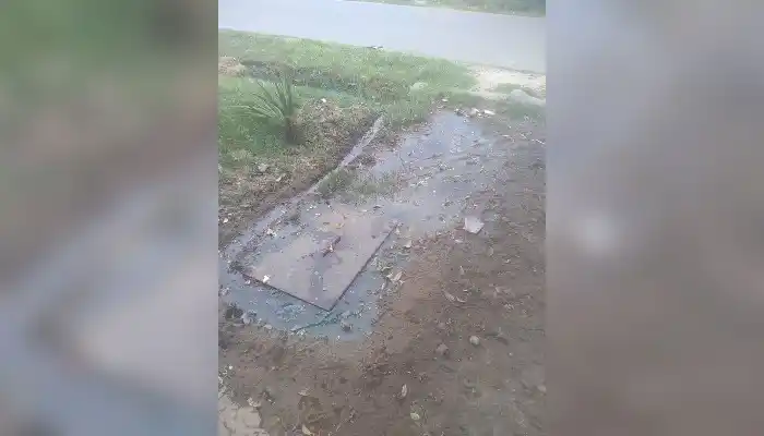 "Ya no sé qué hacer"